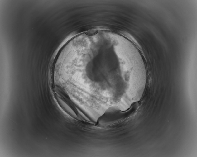 X0000086771243200705041502