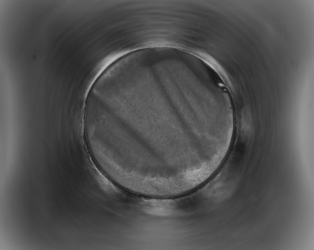 X0000086771244200705041502