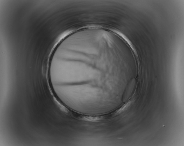 X0000086771245200705041502