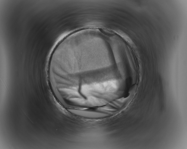 X0000086771248200705041502