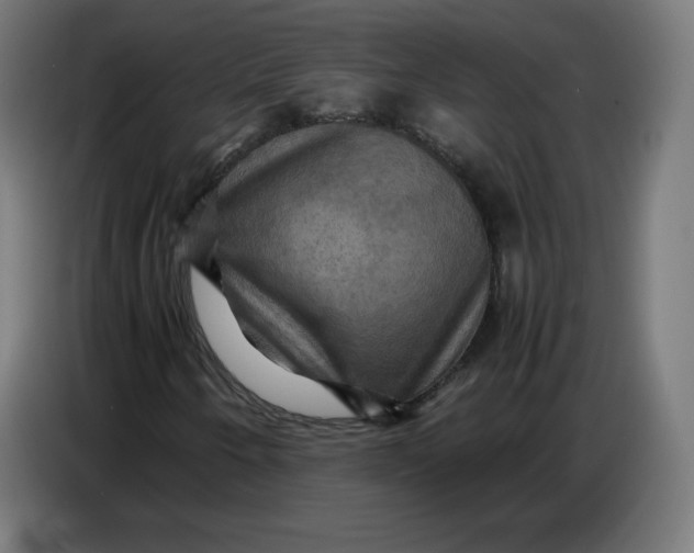 X0000086771250200705041501