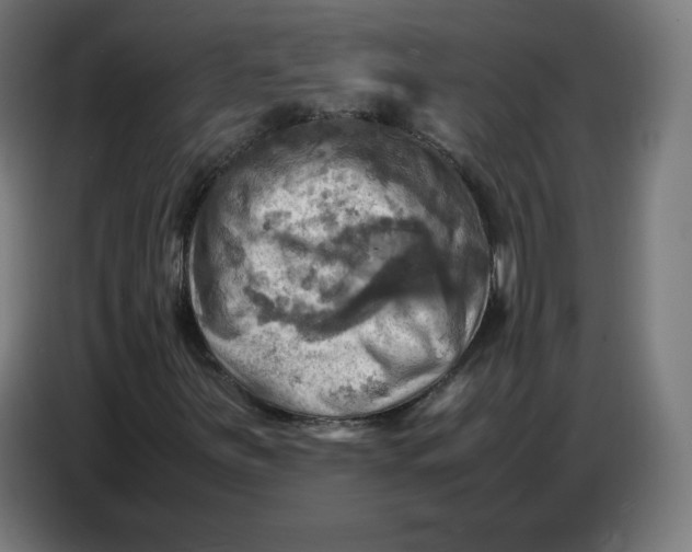X0000086771251200705041501