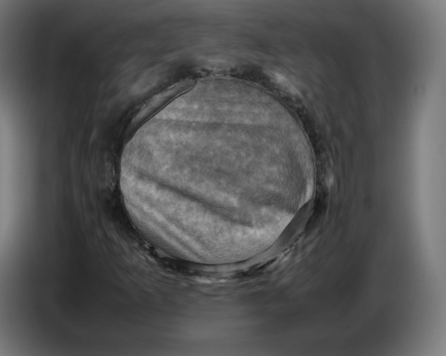 X0000086771253200705041501