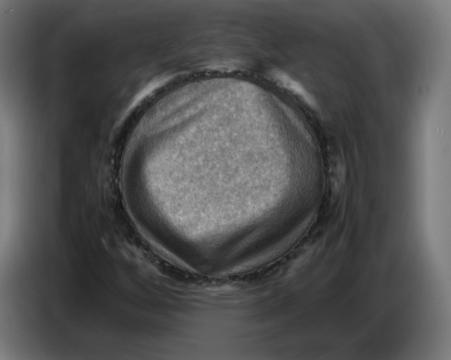 X0000086771256200705041501