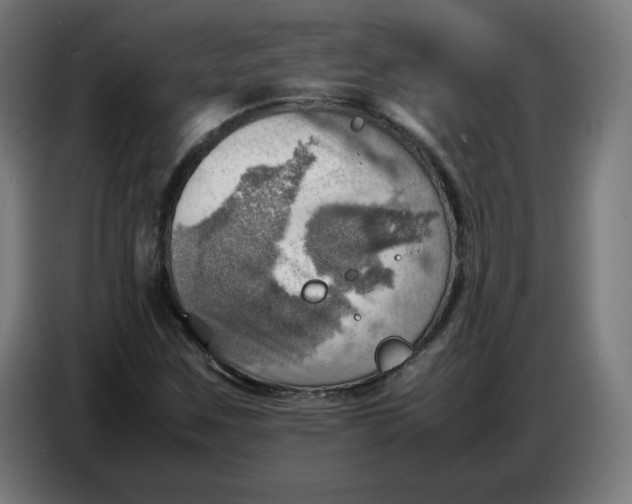 X0000086771259200705041501