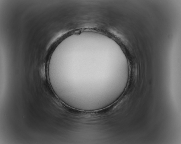 X0000086771262200705041501