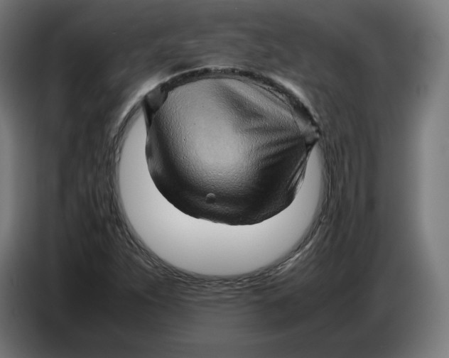 X0000086771263200705041501