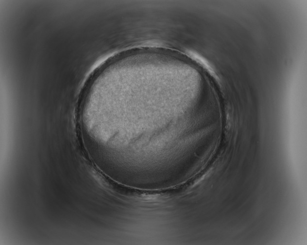 X0000086771264200705041501