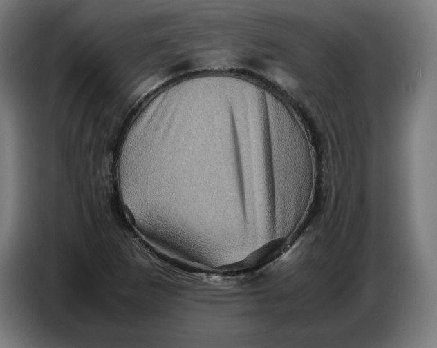 X0000086771265200705041501