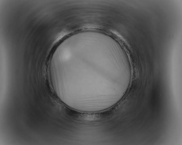 X0000086771266200705041501