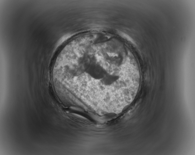 X0000086771267200705041501