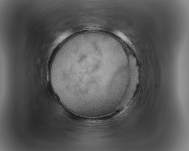 X0000086771269200705041501