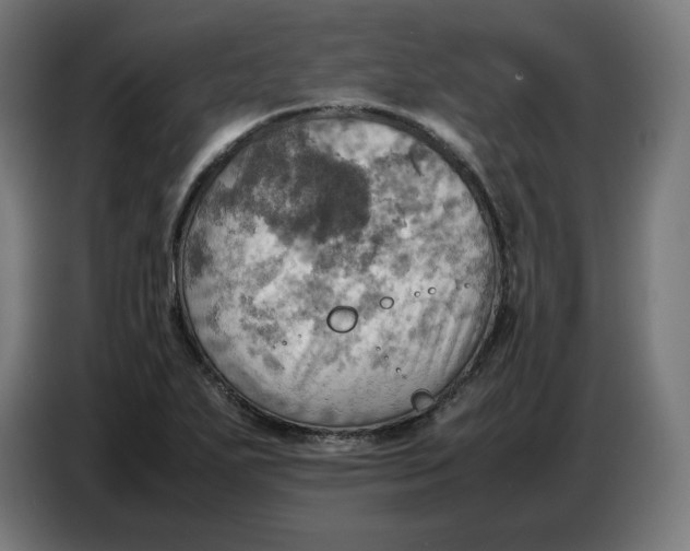 X0000086771271200705041501