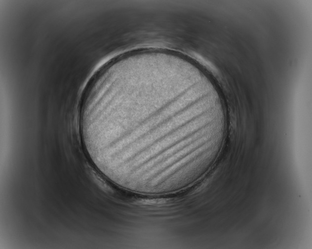 X0000086771272200705041501