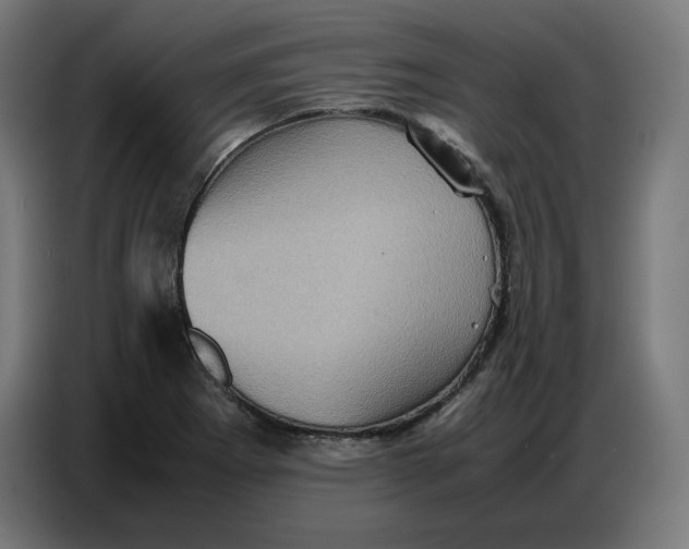X0000086771273200705041501
