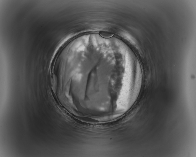X0000086771275200705041501