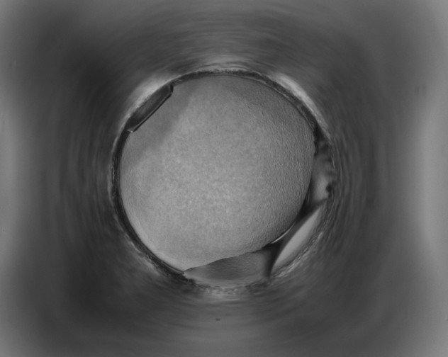 X0000086771277200705041501