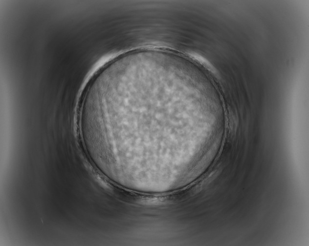 X0000086771278200705041501