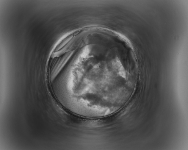 X0000086771279200705041501