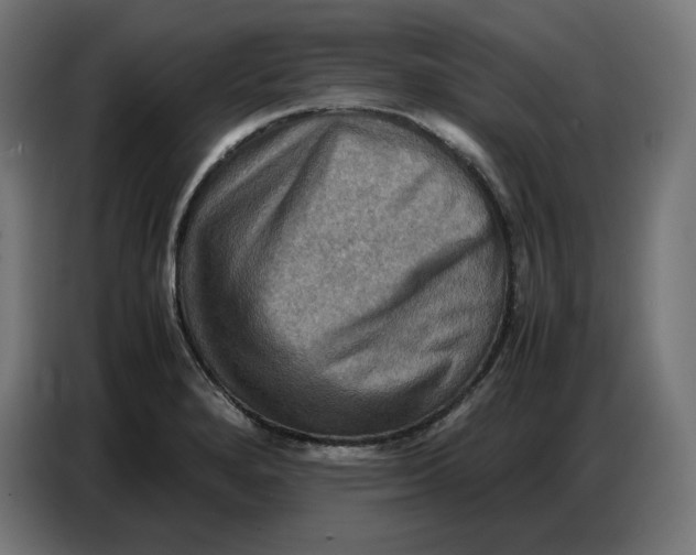 X0000086771280200705041501