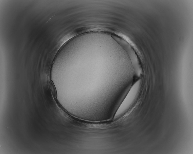 X0000086771281200705041501