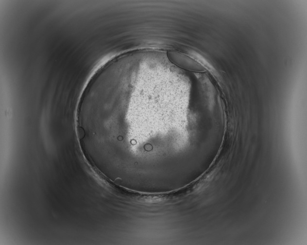 X0000086771283200705041501