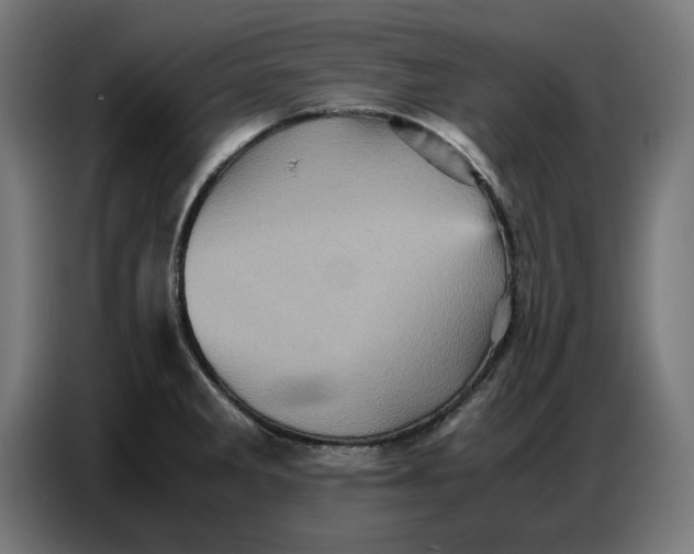 X0000086771285200705041500