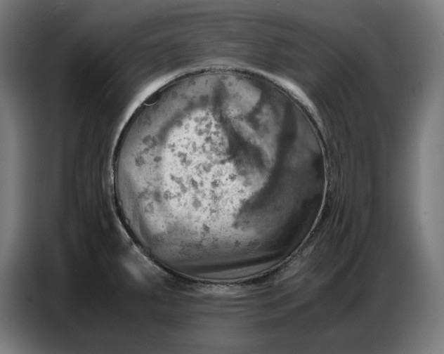 X0000086771287200705041500