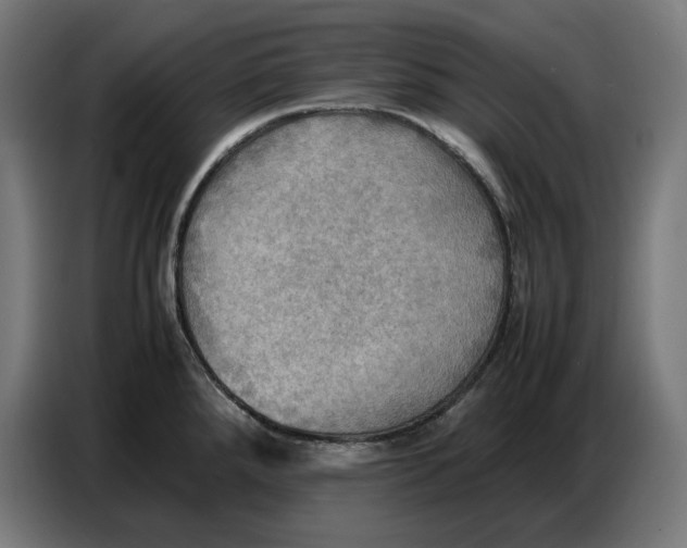 X0000086771288200705041500