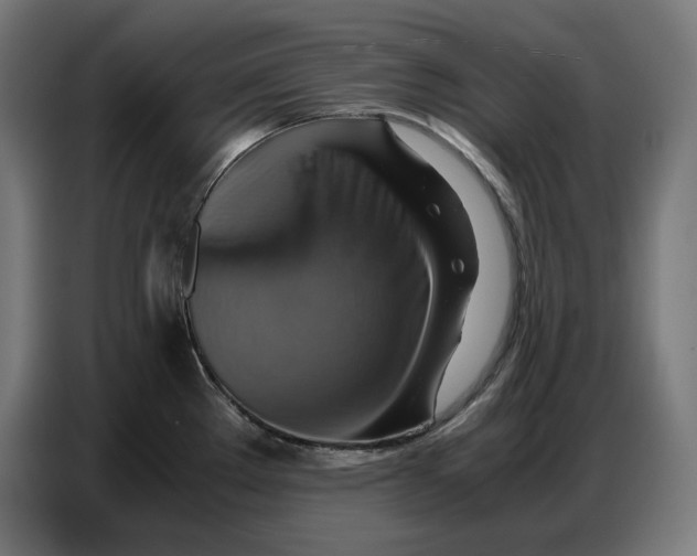 X0000086771289200705041500