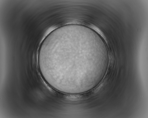 X0000086771290200705041500