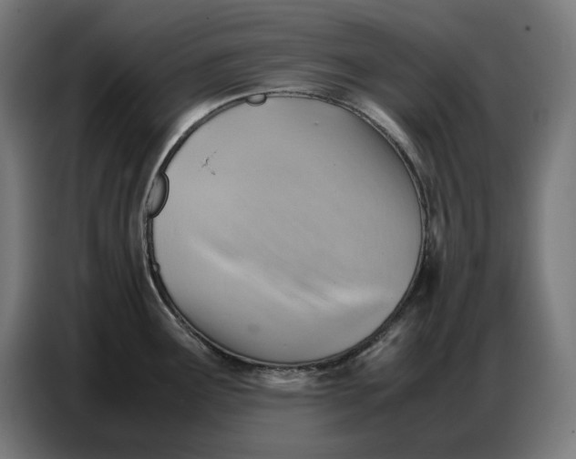 X0000086771291200705041500