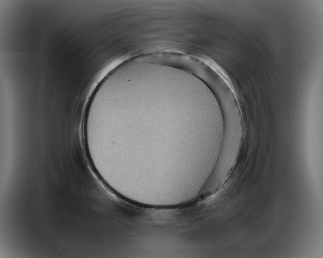 X0000086771293200705041500