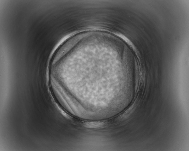 X0000086771294200705041500