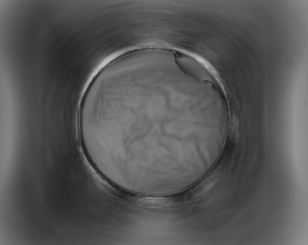 X0000086771295200705041500