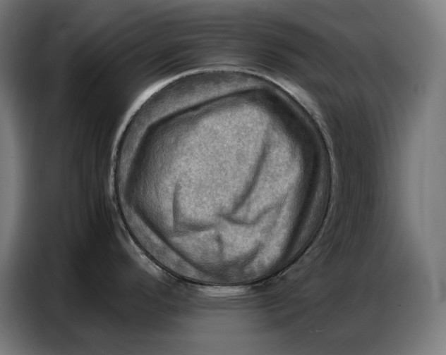 X0000086771296200705041500