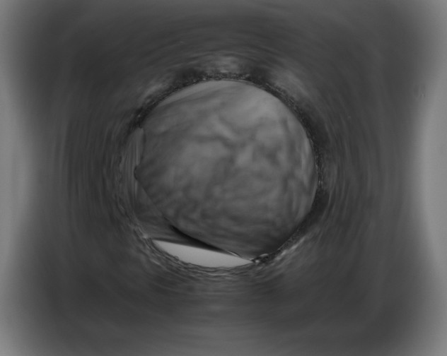 X0000086771297200705041500