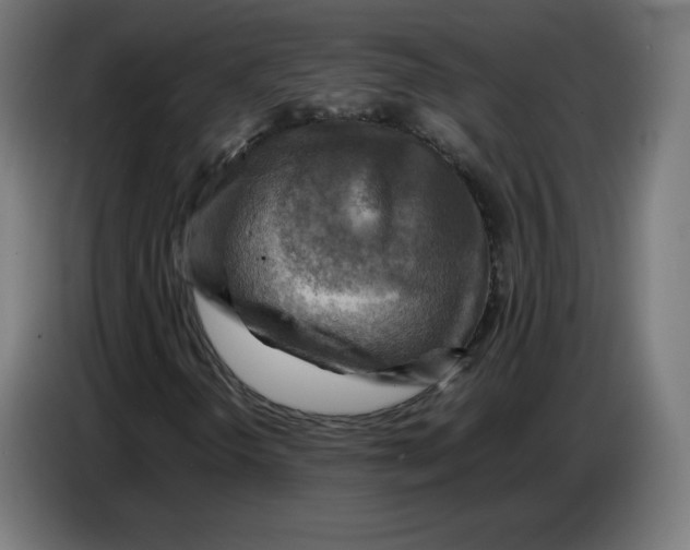 X0000086771298200705041500