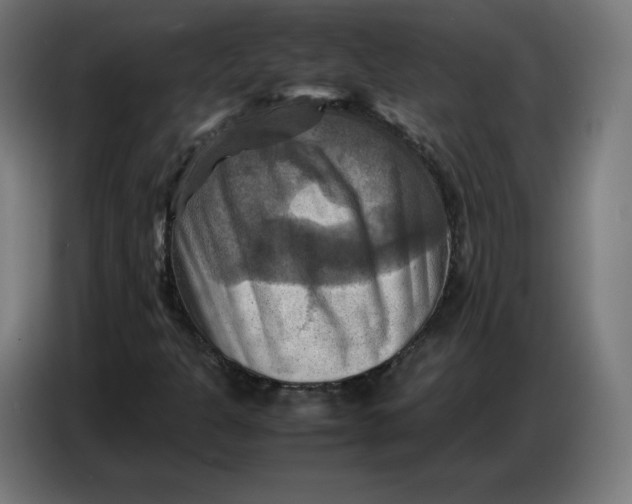 X0000086771301200705041500