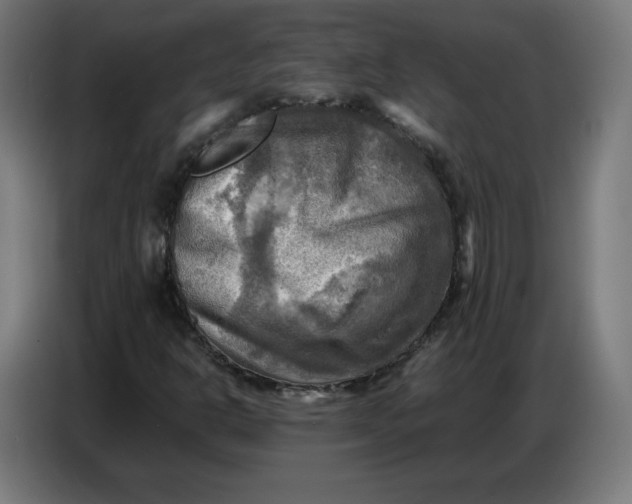 X0000086771302200705041500