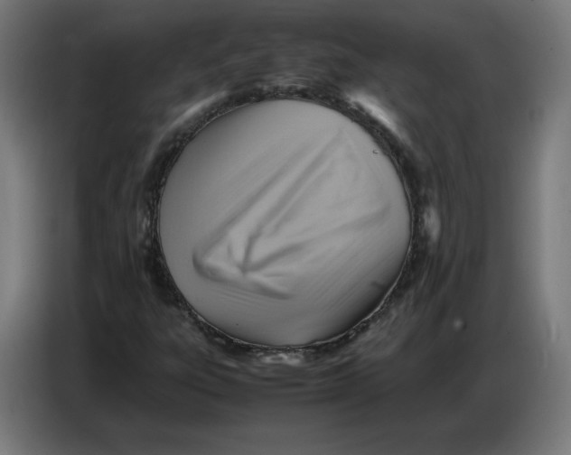 X0000086771303200705041500