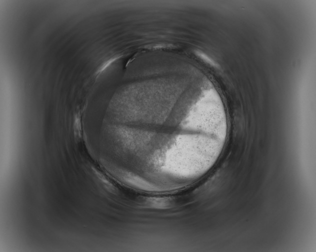 X0000086771305200705041500
