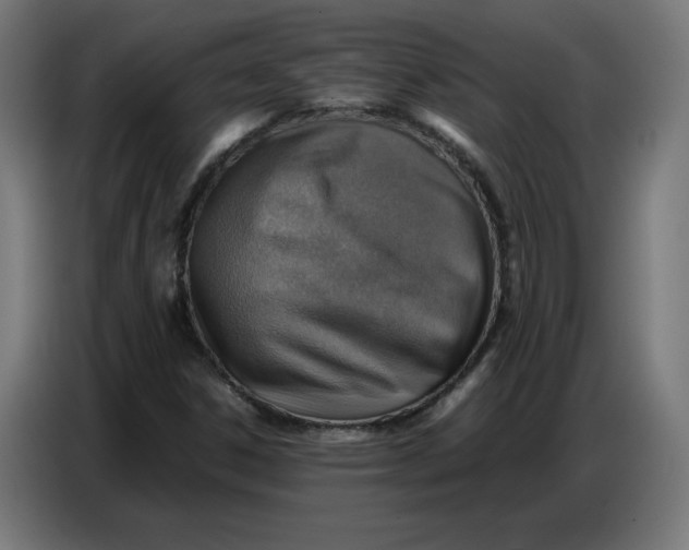 X0000086771306200705041500