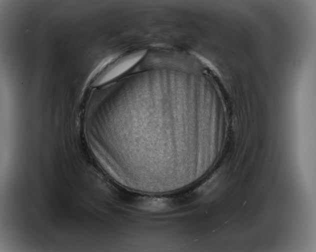 X0000086771309200705041500