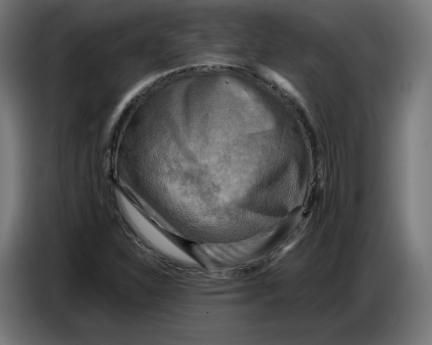 X0000086771310200705041500