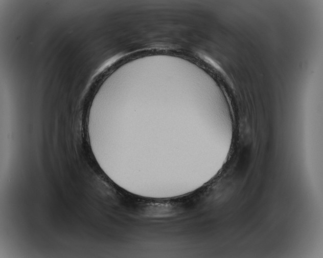 X0000086771315200705041500