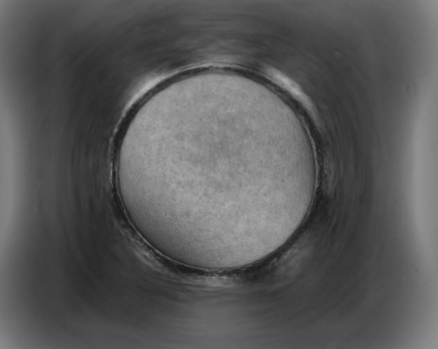 X0000086771316200705041500