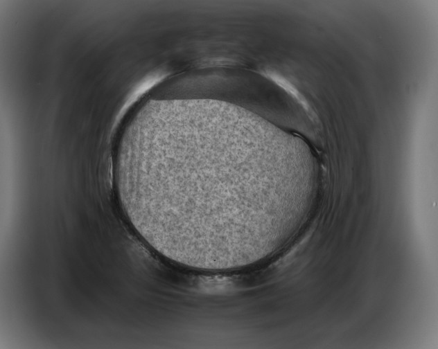 X0000086771317200705041500