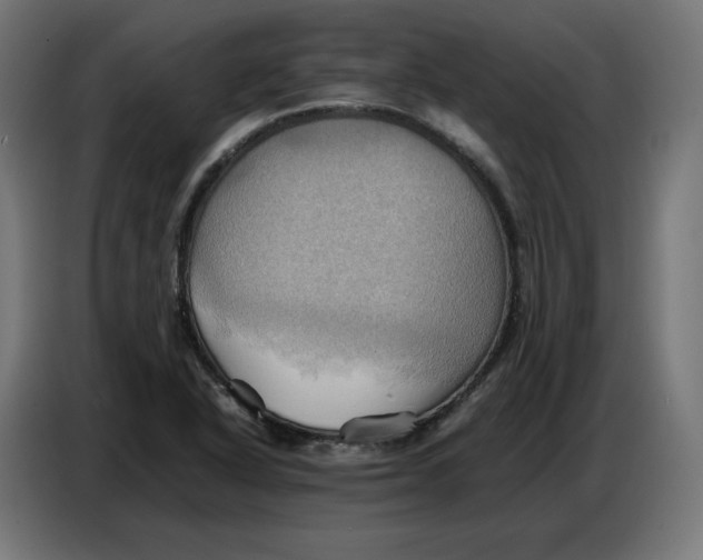 X0000086771318200705041500