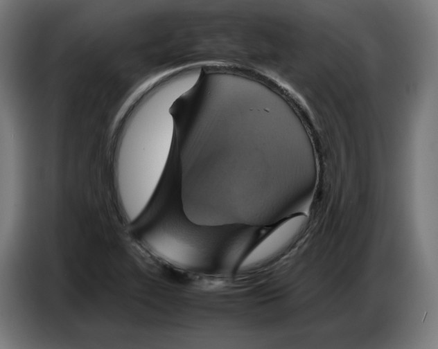 X0000086771319200705041500